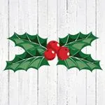 The Christmas Cart UK discount code